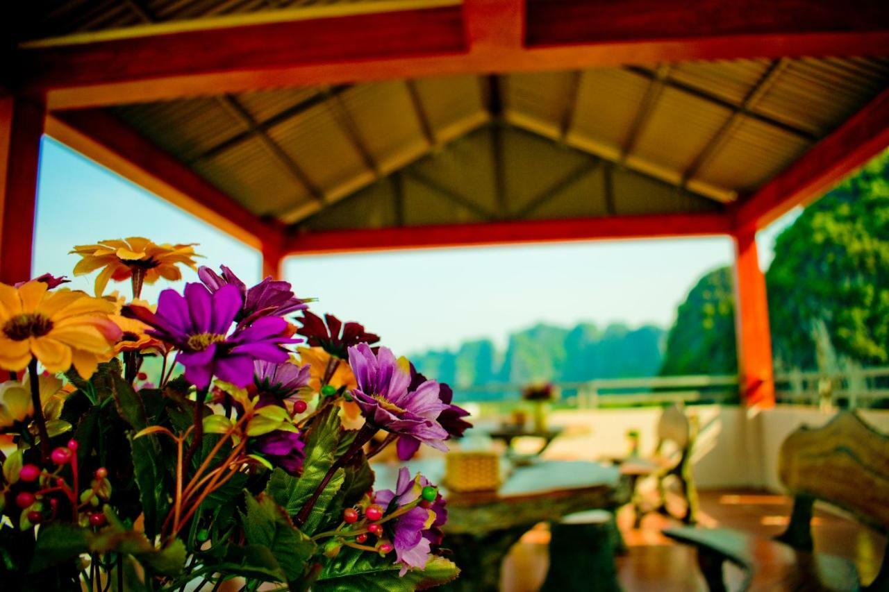Trang An Mountain View Homestay Ninh Binh Zewnętrze zdjęcie